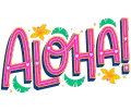Hawaii Culture Aloha