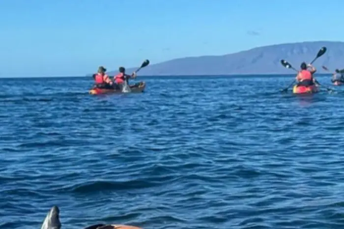 Kayaking and Snorkeling in West Maui at Olowalu