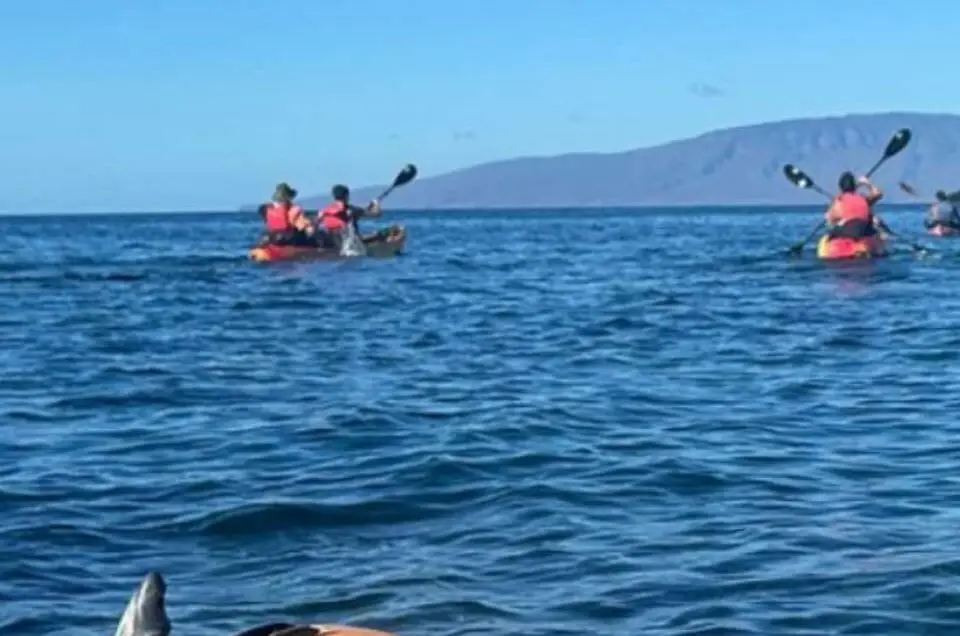 DreamTravler5808-Best experience in Maui