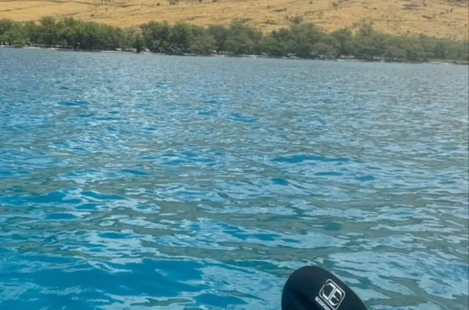 Scenic - Sea turtles and views