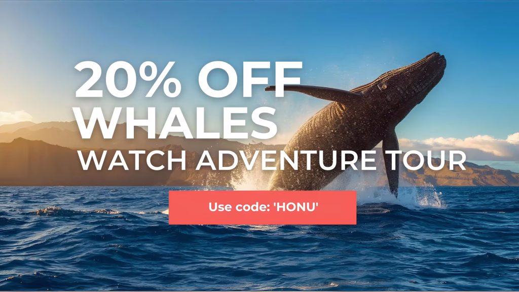 Majestic Whale Watching Adventure Banner