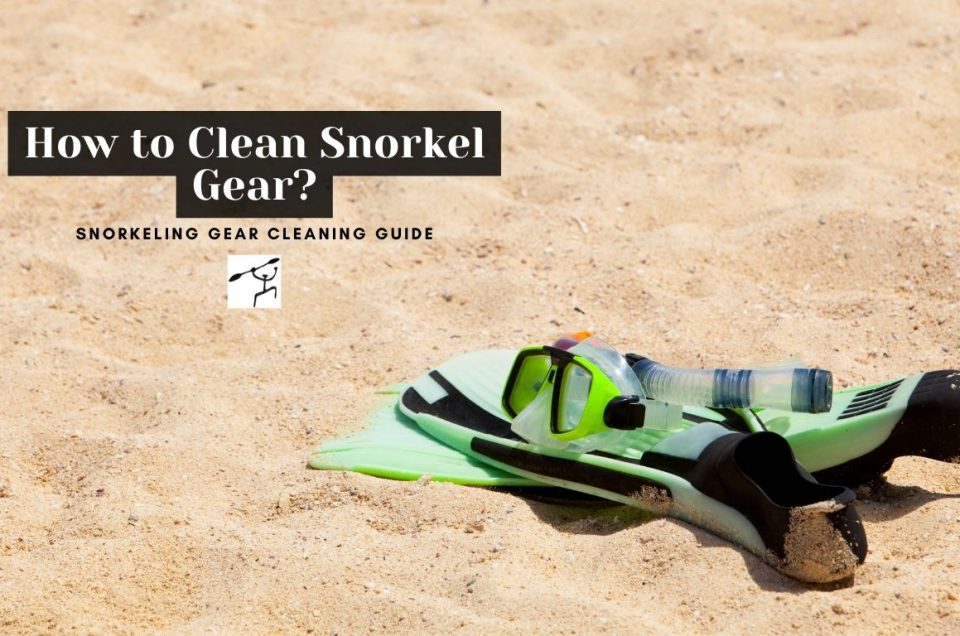 How to Clean Snorkel Gear