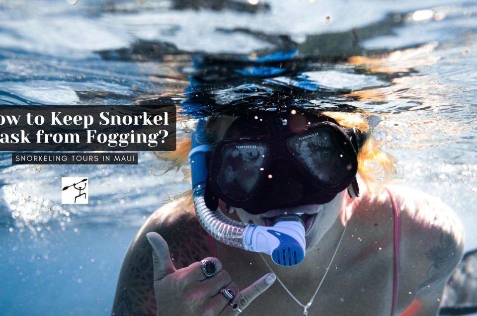 How to Keep Snorkel Mask from Fogging