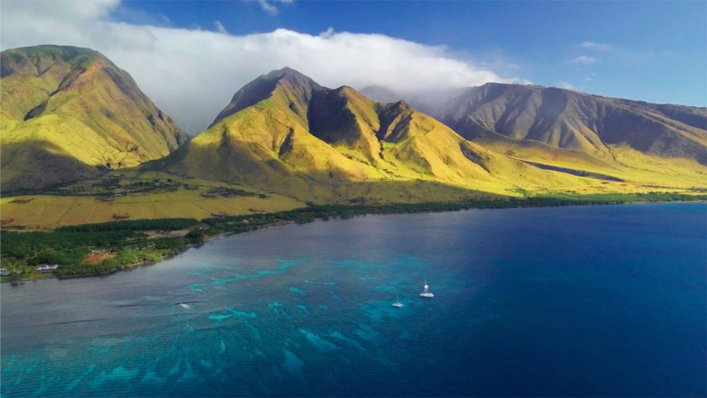 Olowalu Reef Snorkeling