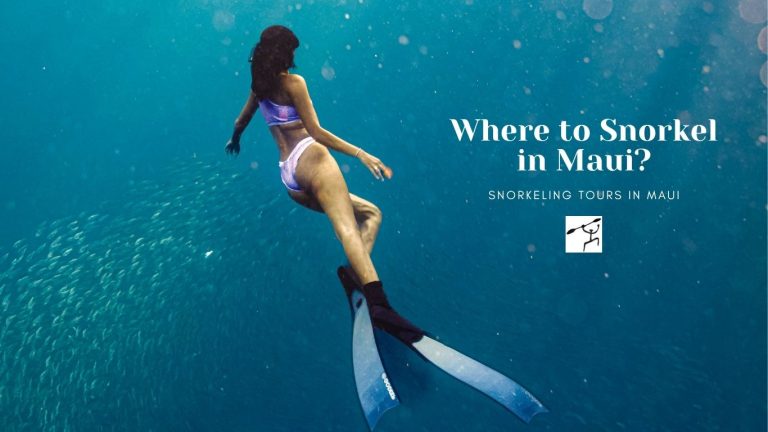 Where to Snorkel in Maui
