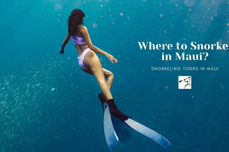 Where to Snorkel in Maui