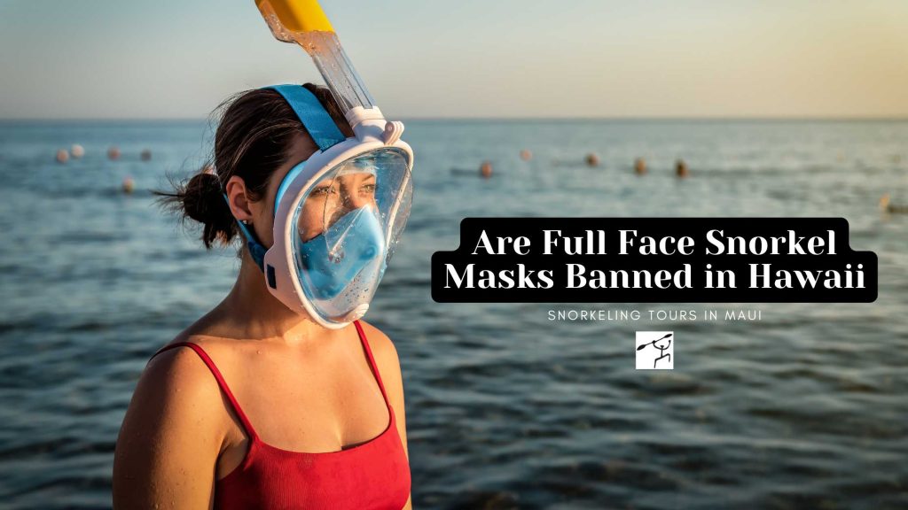 Are Full Face Snorkel Masks Banned in Hawaii