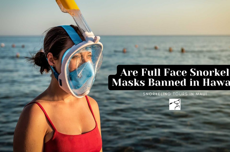 Are Full Face Snorkel Masks Banned in Hawaii