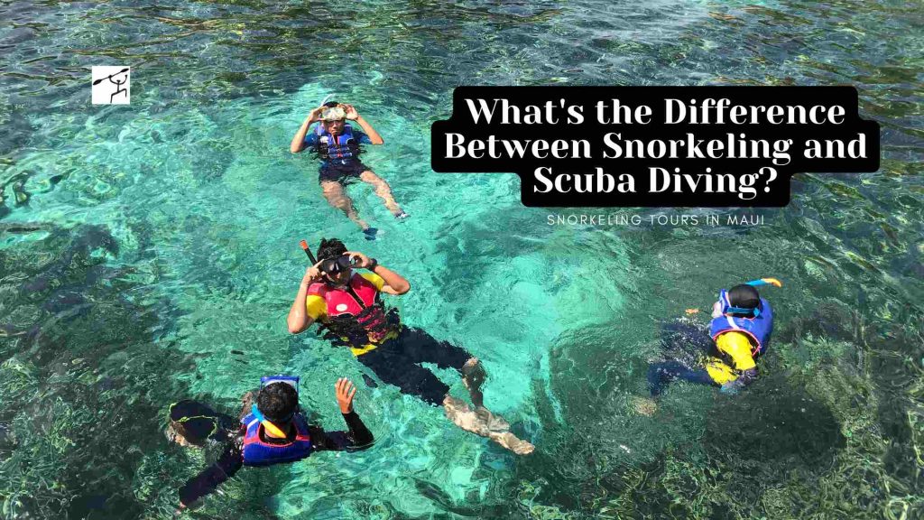 What's the Difference Between Snorkeling and Scuba Diving