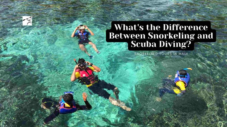 What's the Difference Between Snorkeling and Scuba Diving