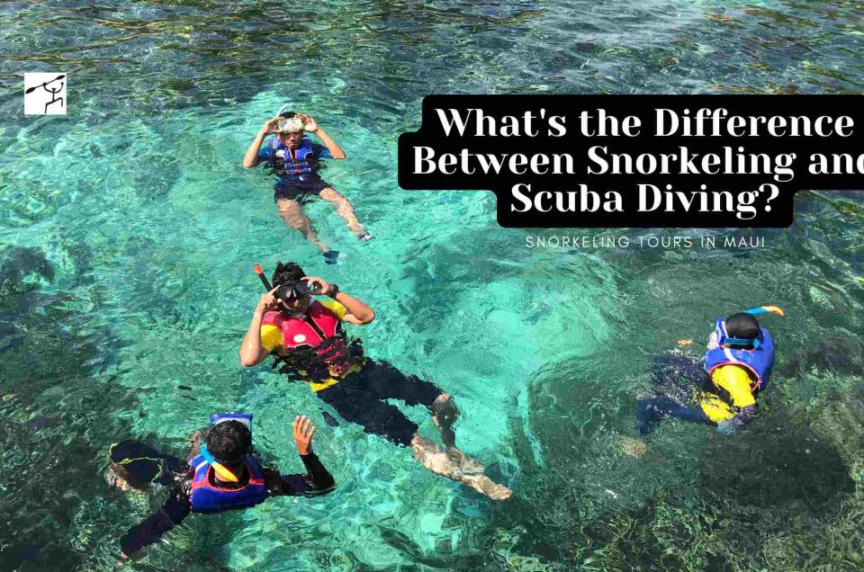 What's the Difference Between Snorkeling and Scuba Diving