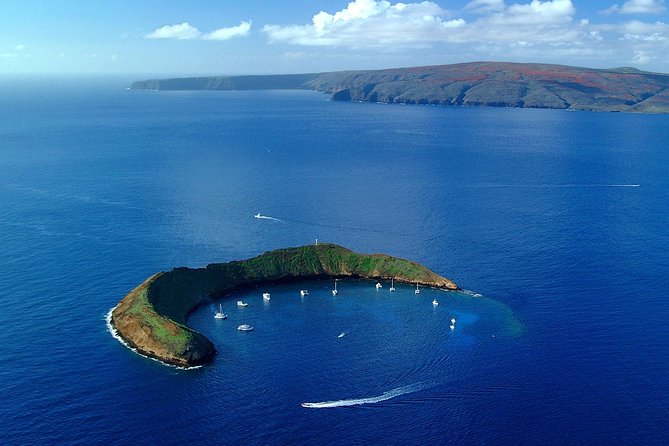 Molokini best time to snorkel in maui
