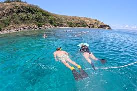 Honolua bay best time to snorkel in maui