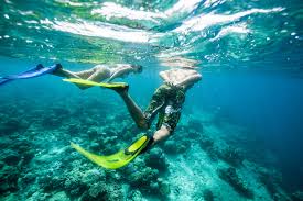 Kapalua best time to snorkel in maui