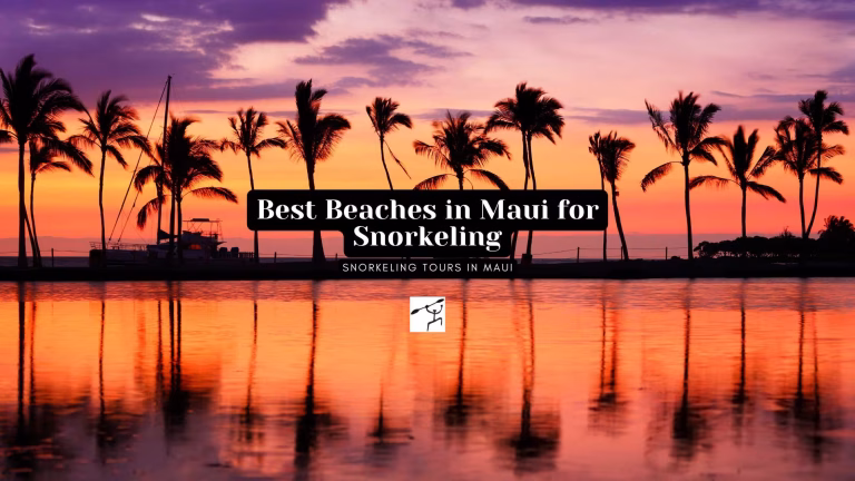 Best Beaches in Maui for Snorkeling