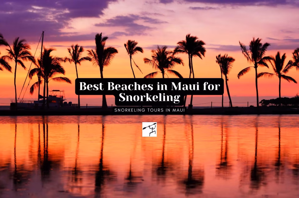 Best Beaches in Maui for Snorkeling
