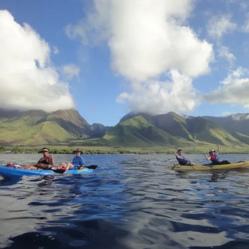 Group kayaking tour on the clear waters of West Maui with Maui Adventure Tours Kayak Co., guided snorkeling and whale watching tours from $99