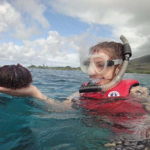 Snorkeler swimming alongside a Hawaiian green sea turtle at Turtle Town, one of the best Maui snorkeling beaches for turtle encounters