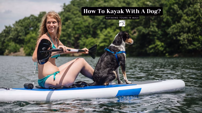 How To Kayak With A Dog