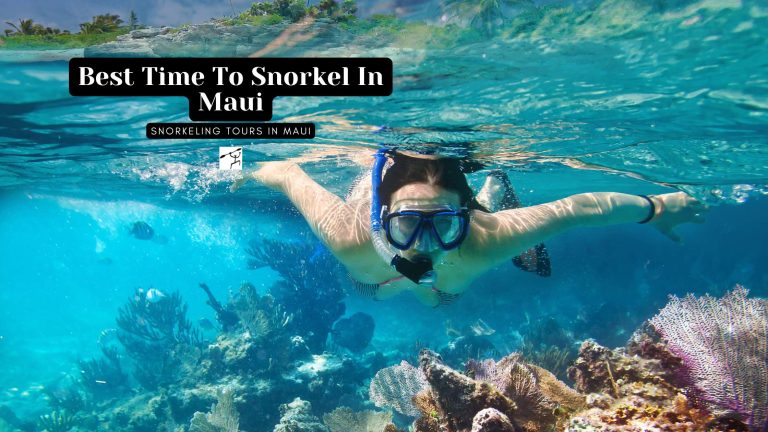 Best time to snorkel in maui