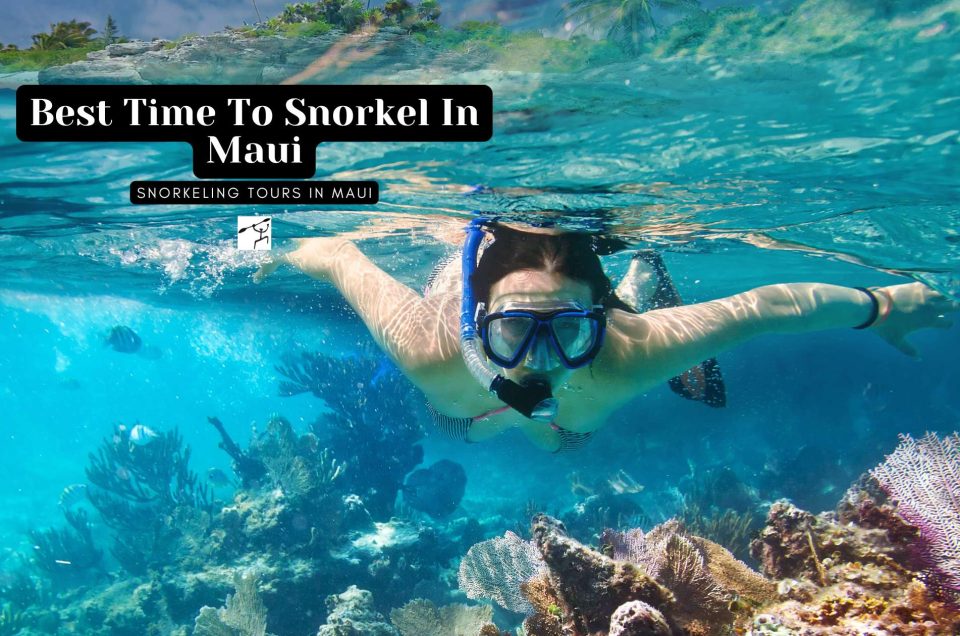 Best time to snorkel in maui