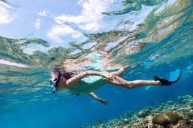 Snorkeling in Maui for Non Swimmers