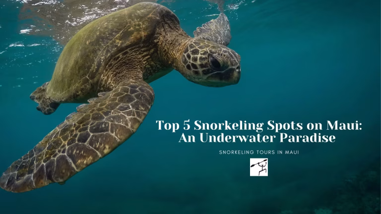 Top 5 Snorkeling Spots on Maui: An Underwater Paradise | Places to Snorkel Maui