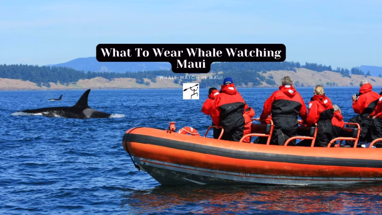 What To Wear Whale Watching Maui