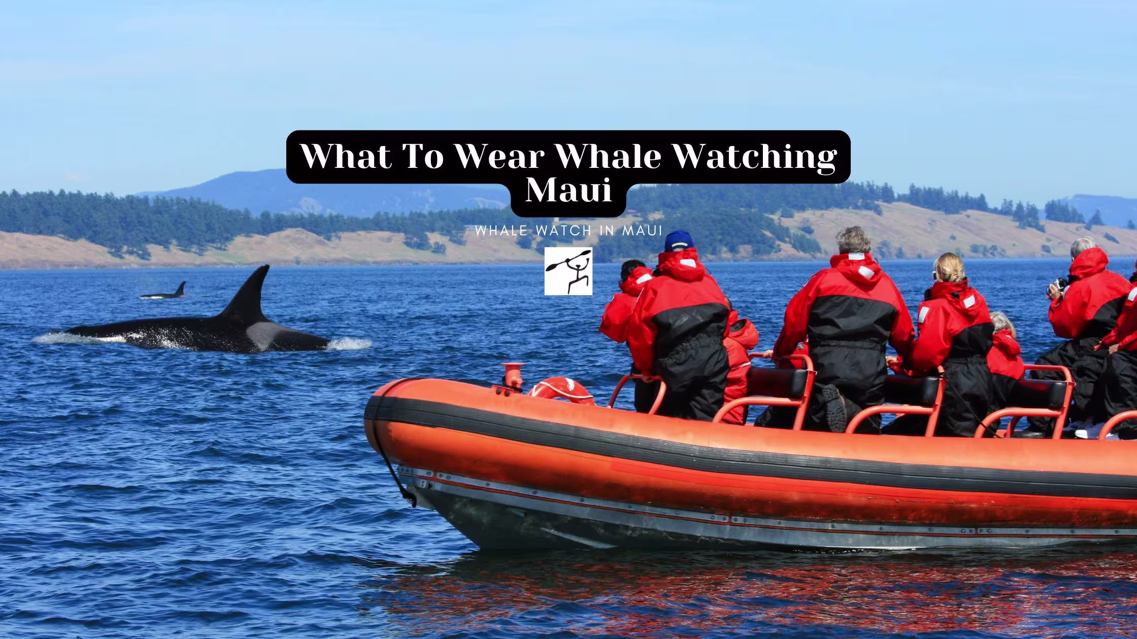 What To Wear Whale Watching Maui