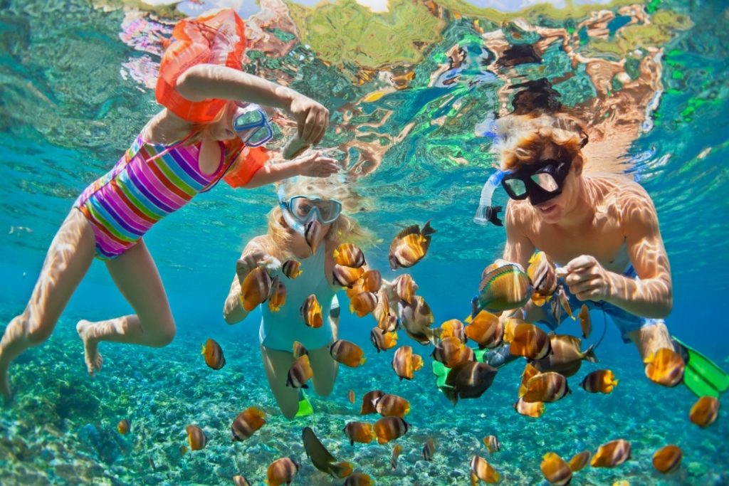 Young child snorkeling with sea turtle in shallow clear water, Maui Hawaii