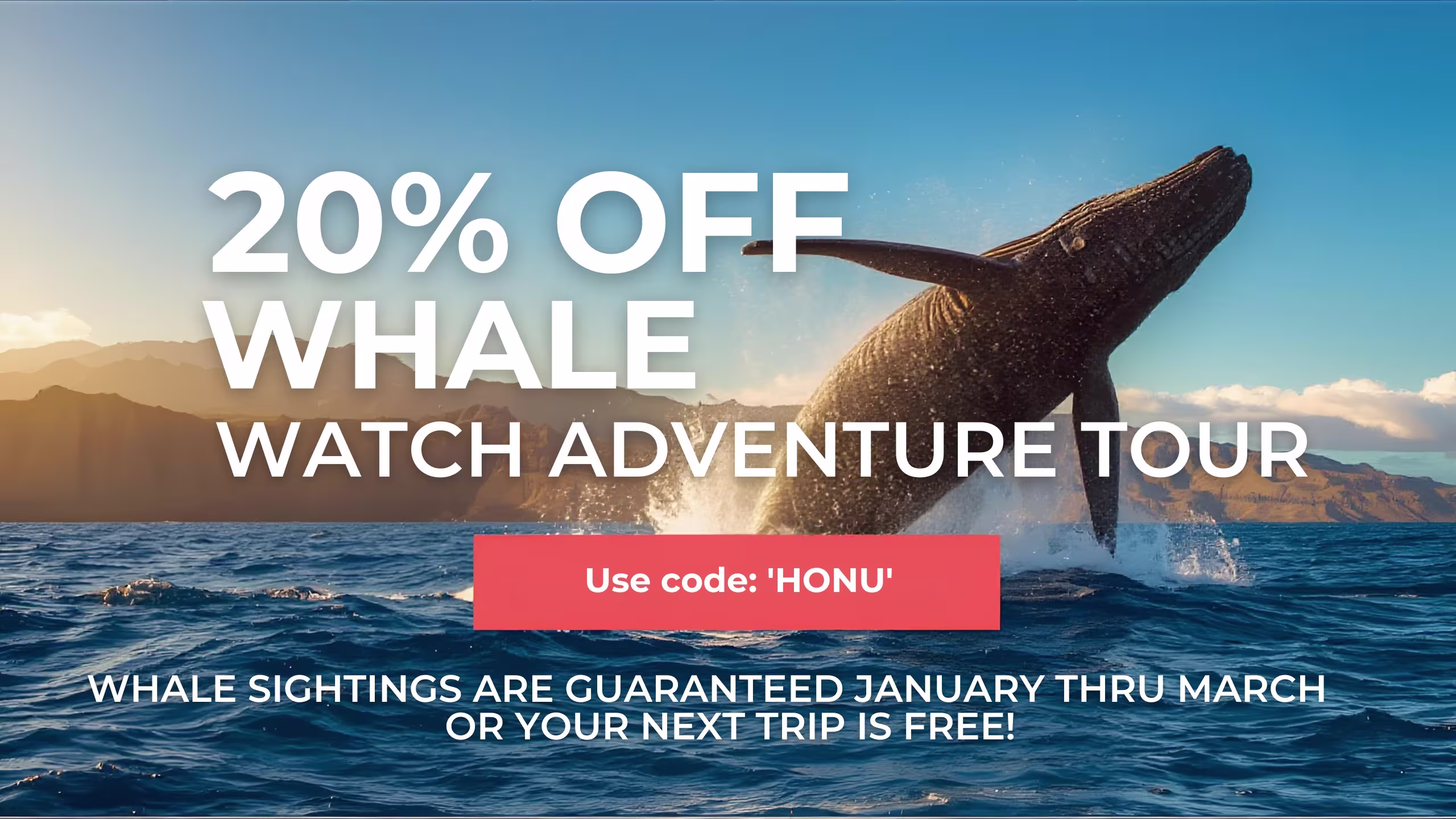 Majestic Whale Watching Adventure Banner