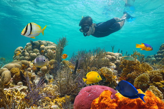 Snorkeling in clear Maui ocean water with tropical reef fish – Day 5 of a 7-day Maui trip plan