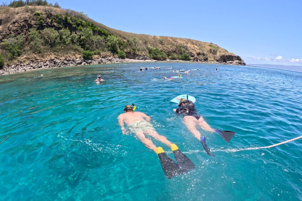 Snorkeling at Honolua bay