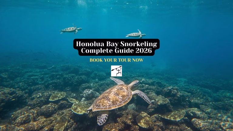 Honolua Bay Snorkeling
