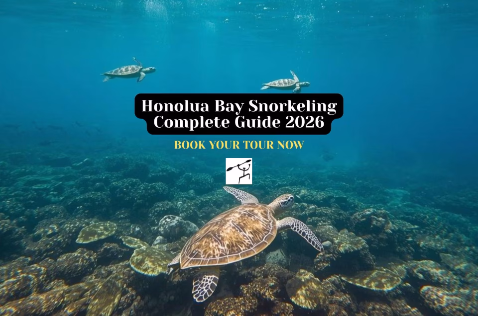Honolua Bay Snorkeling