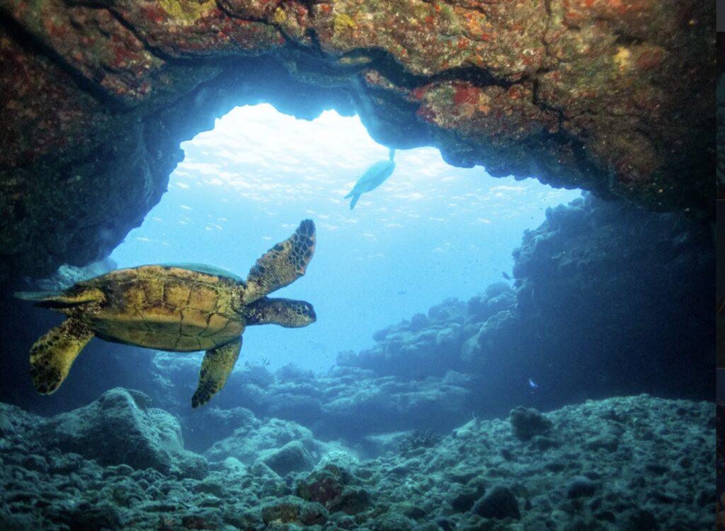 Snorkeling at five graves