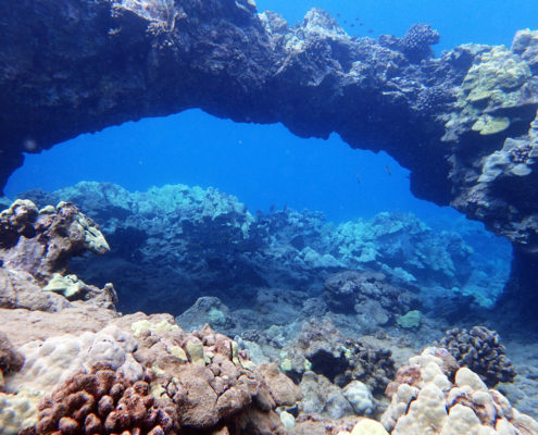 Snorkeling at five graves