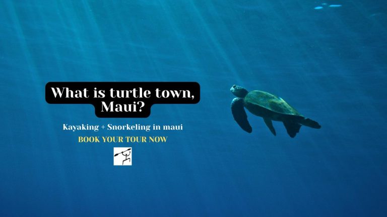 Turtle town maui