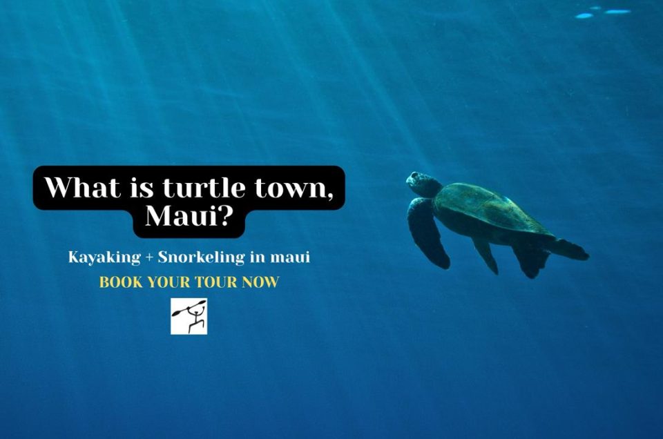 Turtle town maui