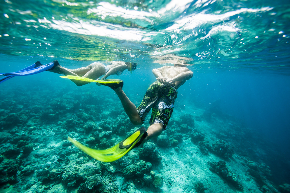 kapalua-bay-snorkeling
