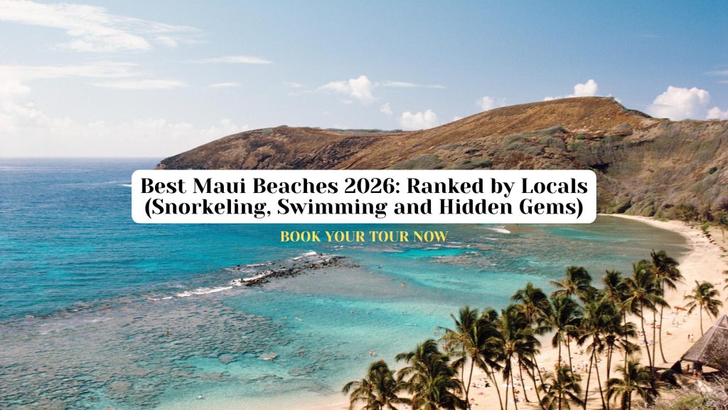 Best Maui Beaches in 2026 Ranked by Locals (Snorkeling, Swimming and Hidden Gems)