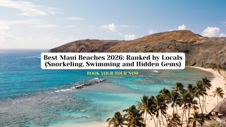Best Maui Beaches in 2026 Ranked by Locals (Snorkeling, Swimming and Hidden Gems)