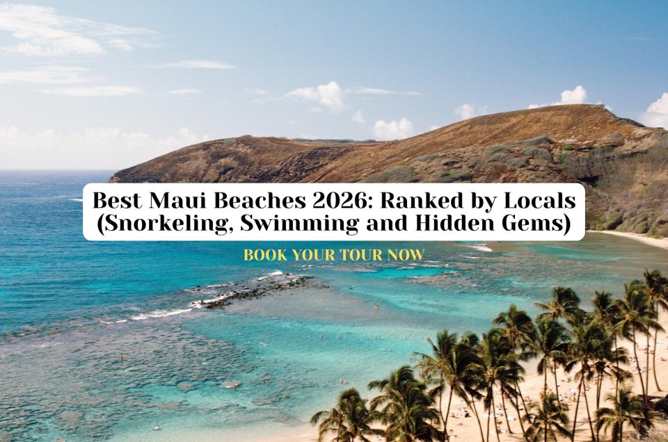 Best Maui Beaches in 2026 Ranked by Locals (Snorkeling, Swimming and Hidden Gems)