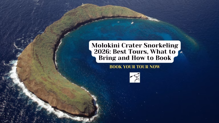 Molokini Crater Snorkeling 2026 Best Tours, What to Bring and How to Book