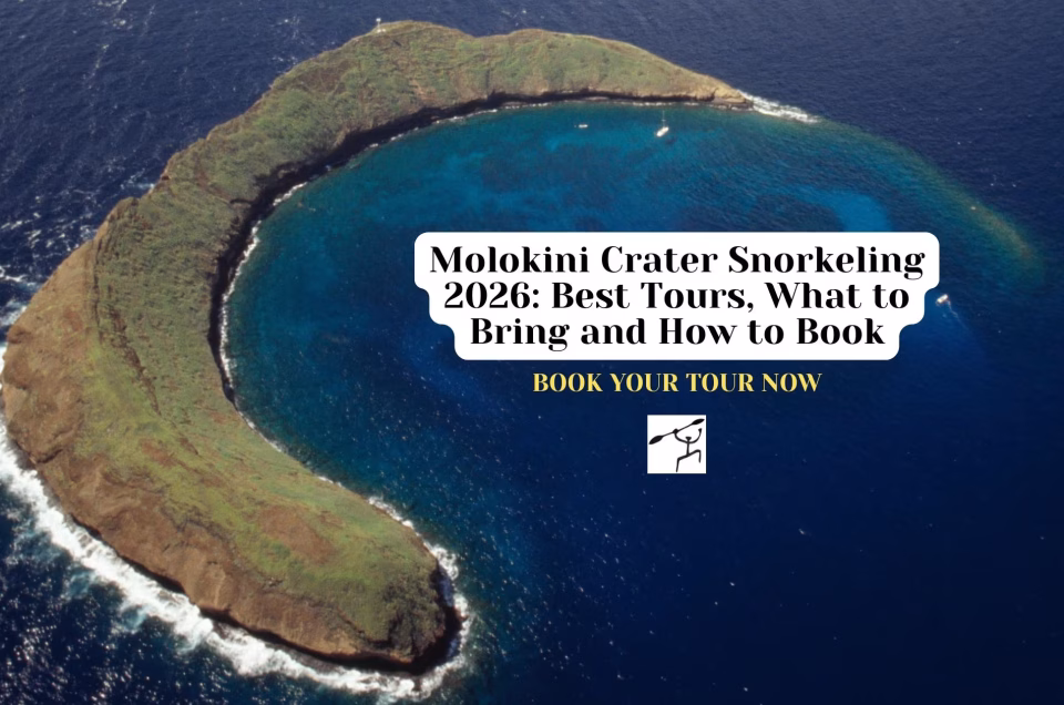 Molokini Crater Snorkeling 2026 Best Tours, What to Bring and How to Book